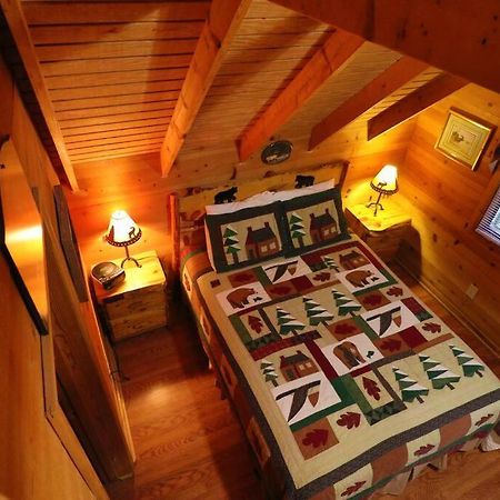 Cute Updated Mountain Cabin Fireplace #3 Helen Eksteriør billede