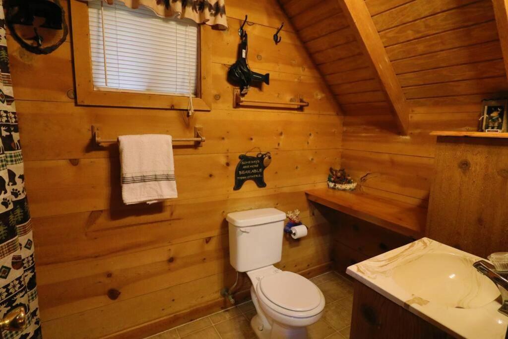 Cute Updated Mountain Cabin Fireplace #3 Helen Eksteriør billede