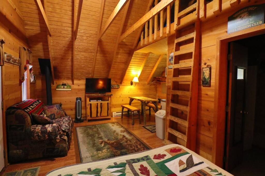 Cute Updated Mountain Cabin Fireplace #3 Helen Eksteriør billede