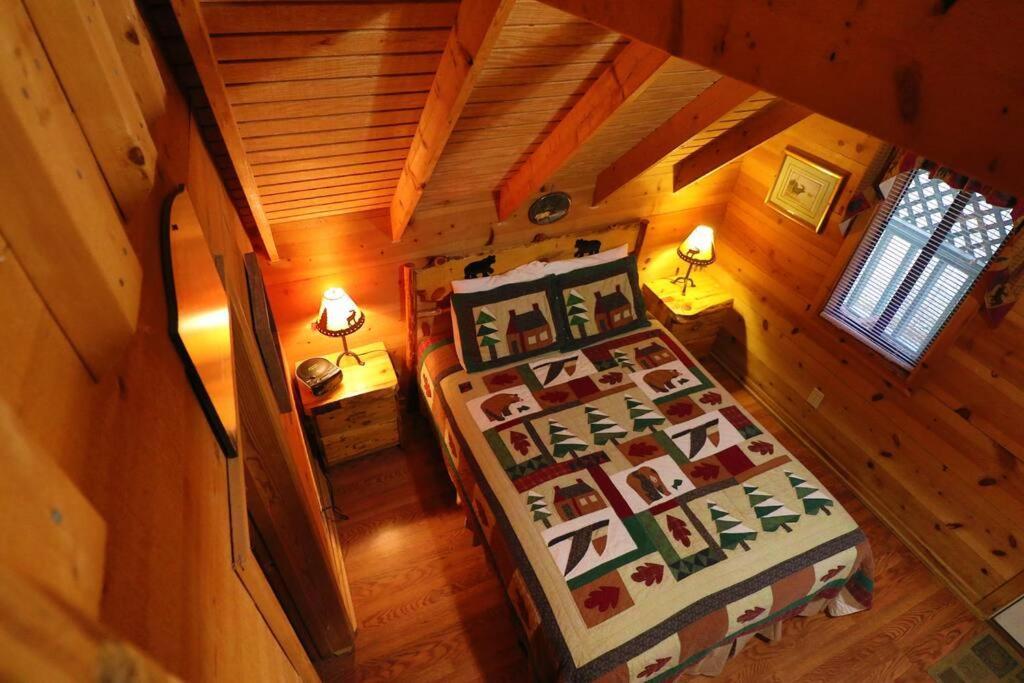 Cute Updated Mountain Cabin Fireplace #3 Helen Eksteriør billede